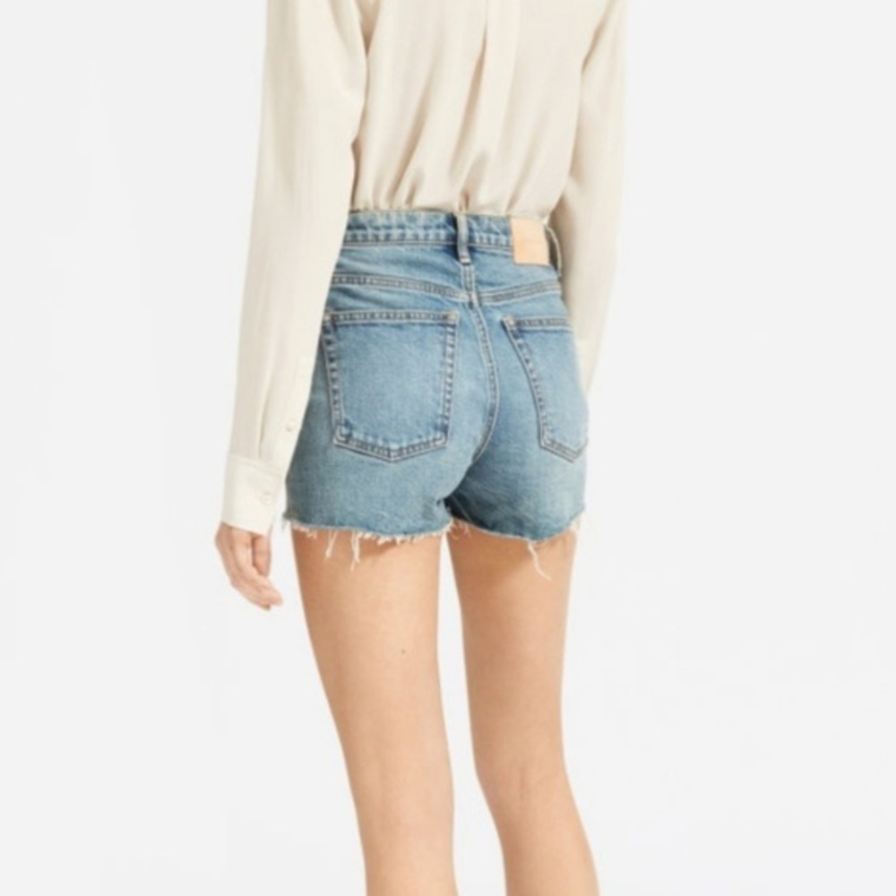 Everlane Light Blue Denim Jean Shorts